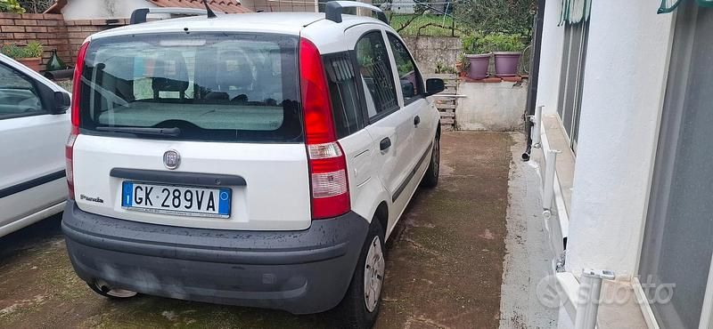 Usata Fiat Panda 2009 Bianco Utilitaria
