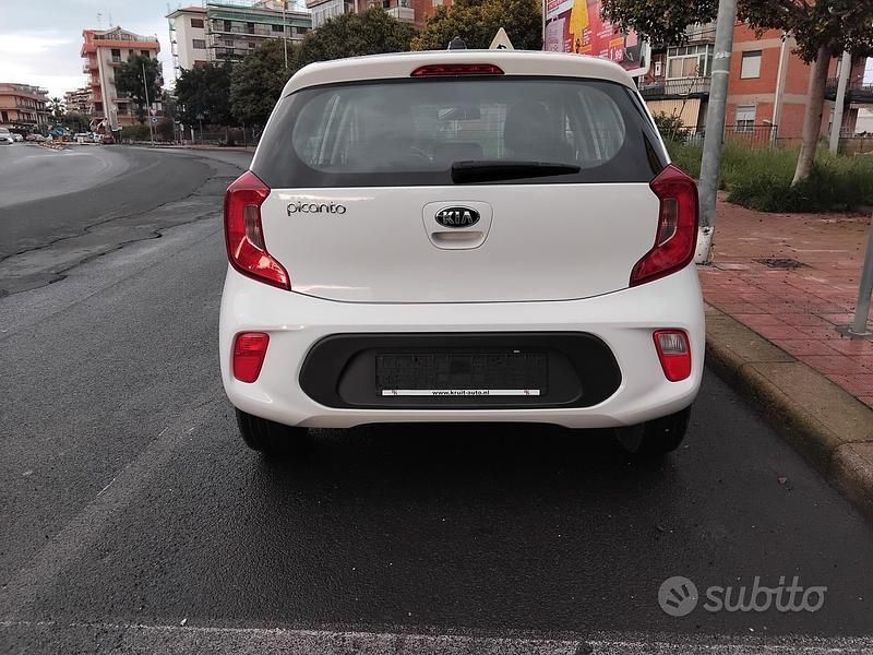 Usata Kia Picanto City 67 CV (49 kW) 2021 Bianco Utilitaria