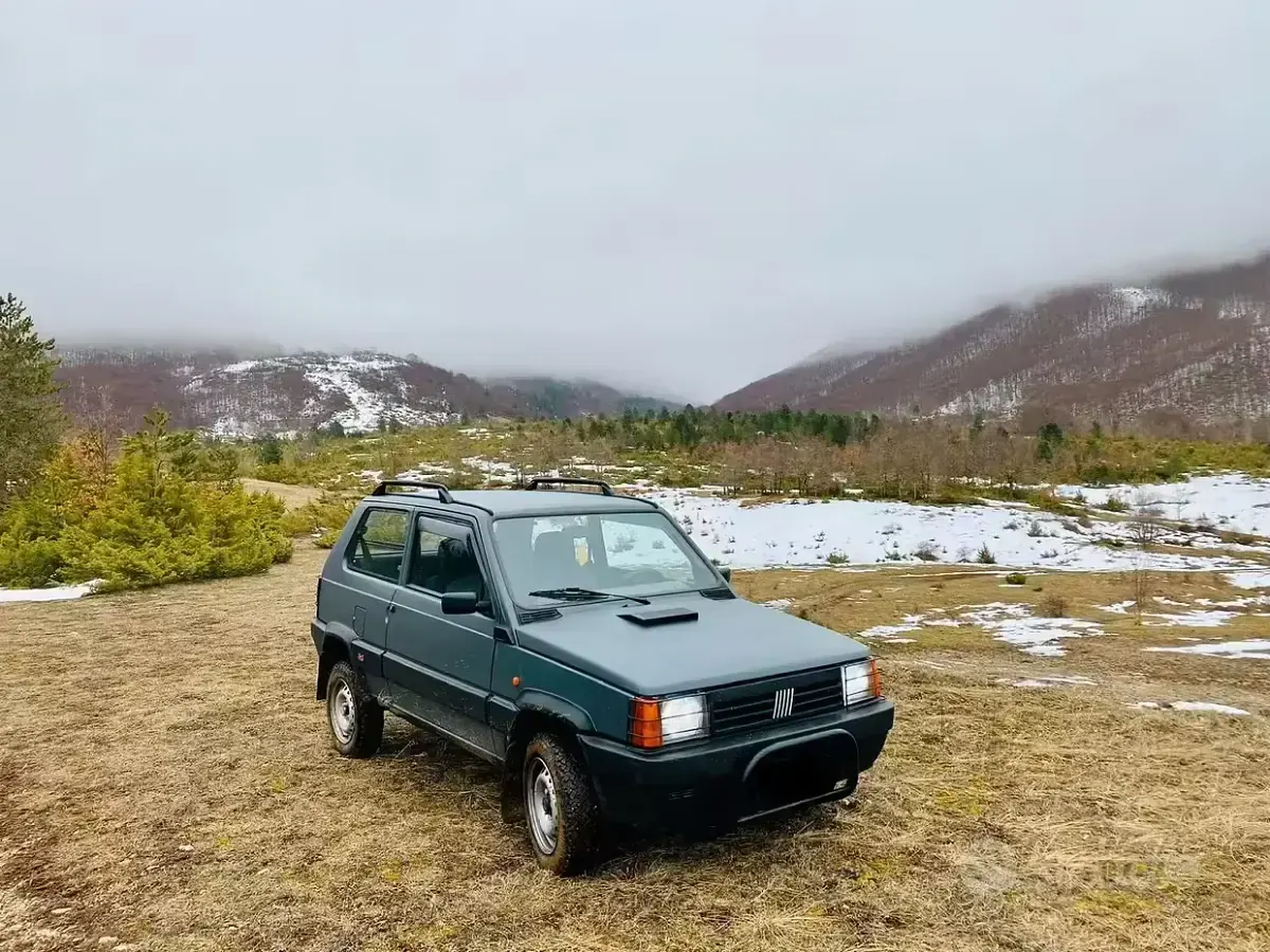 Usata Fiat Panda 4x4 Climbing 54 CV (39 kW) 2002 Utilitaria