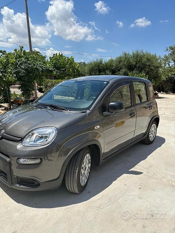 Usata Fiat Panda City Life 70 CV (51 kW) 2023 Grigio Utilitaria
