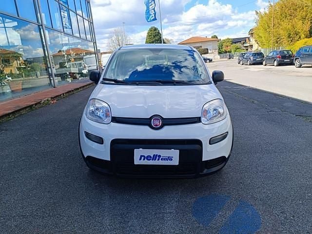 Usata Fiat Panda S 69 CV (50 kW) 2023 Bianco Utilitaria