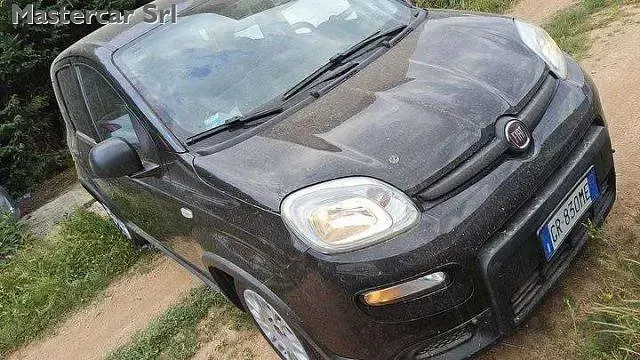Usata Fiat Panda 69 CV (50 kW) 2023 Argento Utilitaria