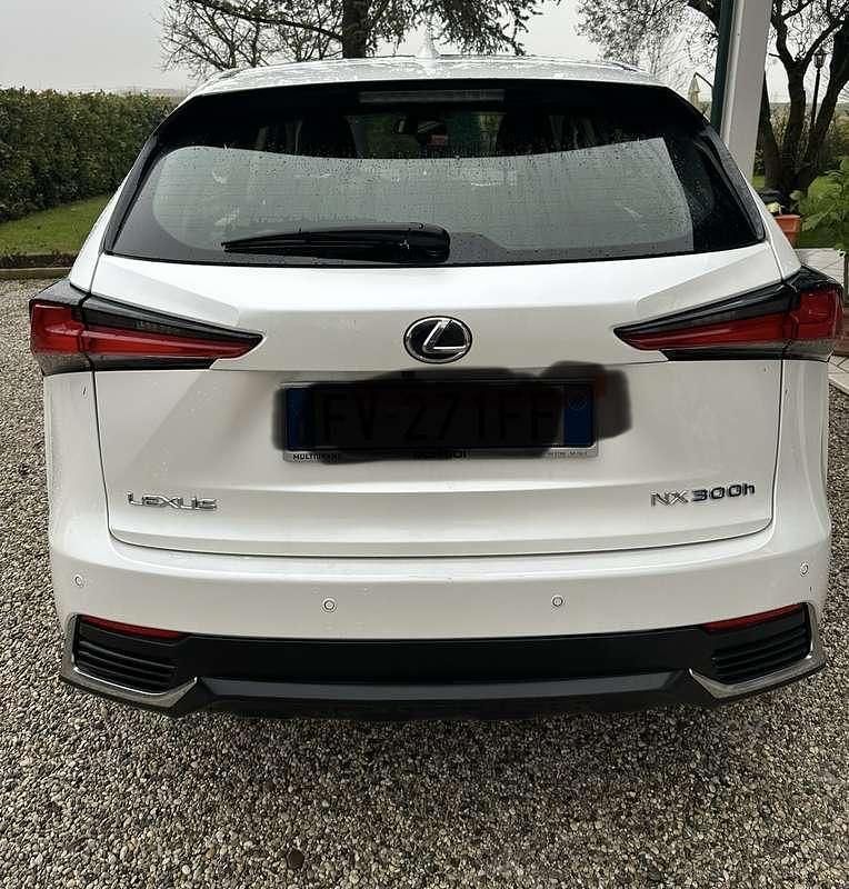 Usata Lexus NX300h 155 CV (114 kW) 2019 SUV
