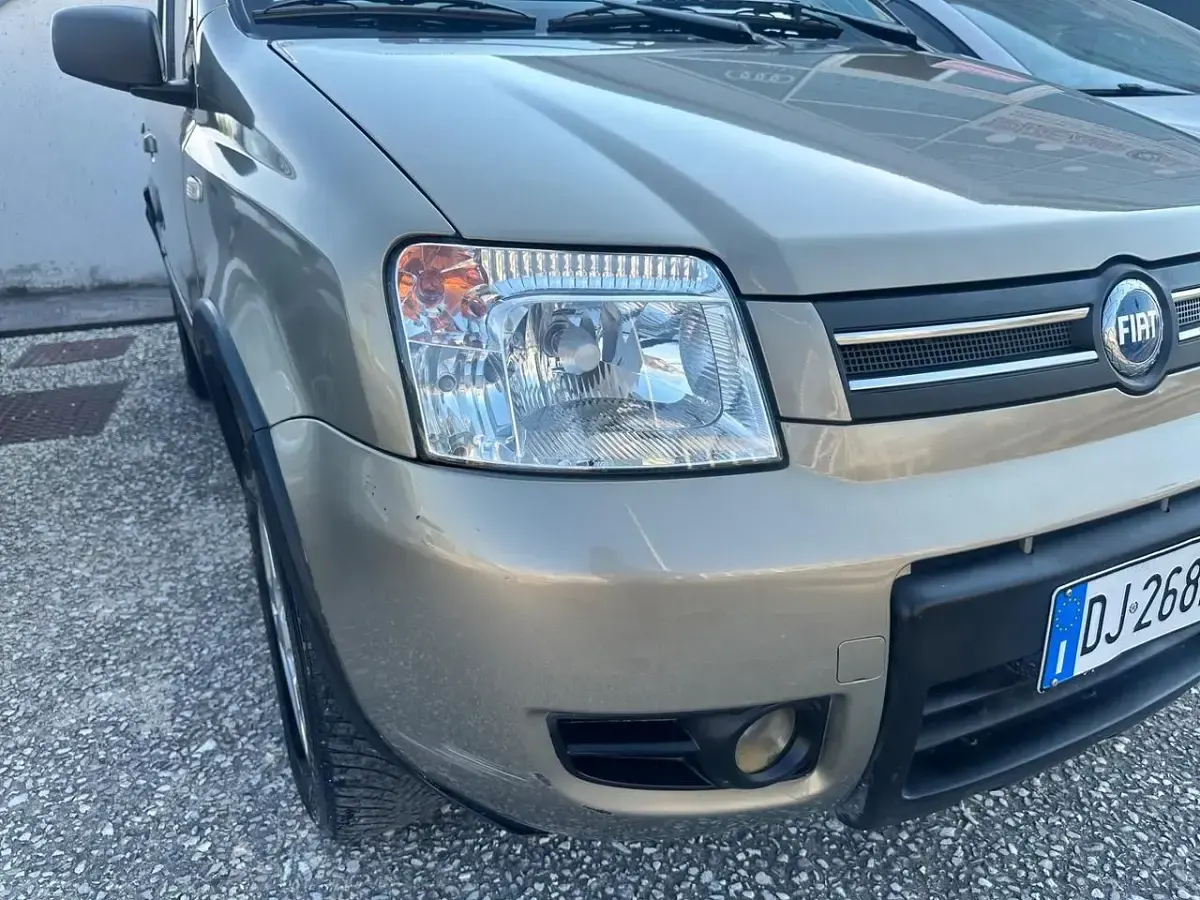 Usata Fiat Panda 4x4 Climbing 75 CV (55 kW) 2007 Grigio Utilitaria