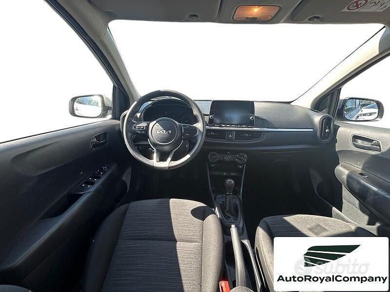 Usata Kia Picanto Urban 65 CV (47 kW) 2023 Grigio Utilitaria