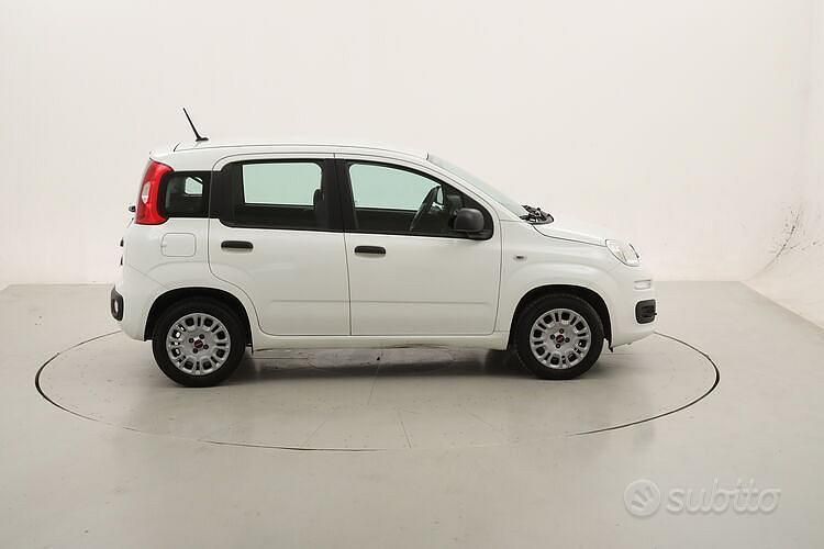 Usata Fiat Panda Easy 69 CV (50 kW) 2020 Bianco Utilitaria