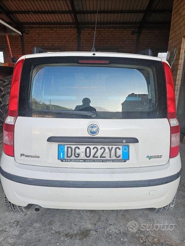 Usata Fiat Panda 77 CV (56 kW) 2007 Bianco Utilitaria