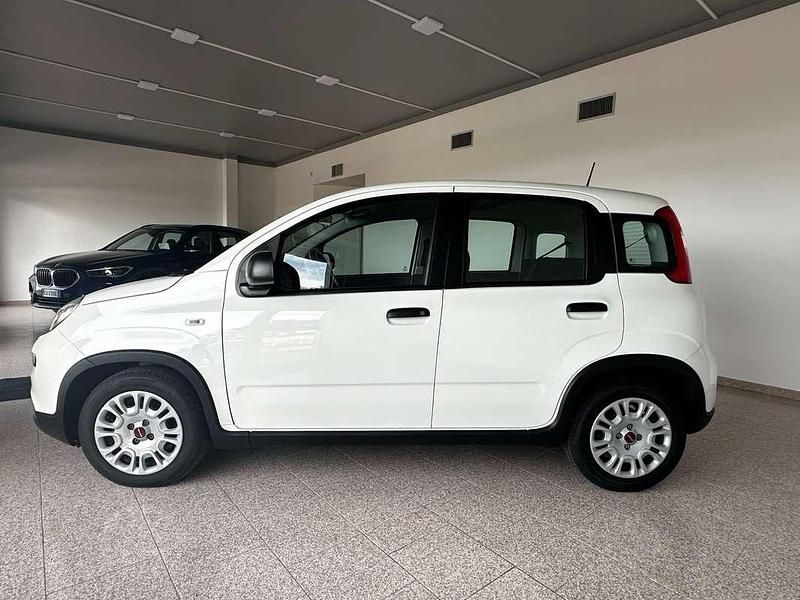 Usata Fiat Panda S 70 CV (51 kW) 2024 Bianco Utilitaria