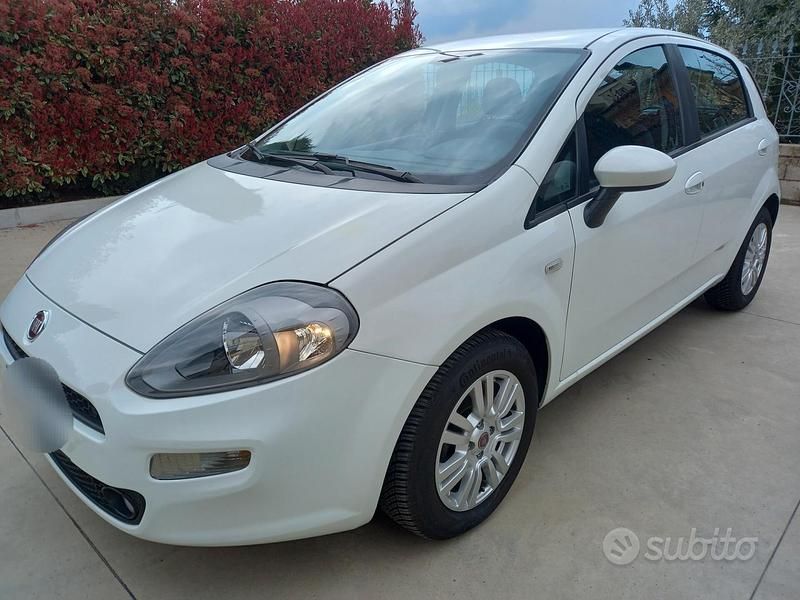 Usata Fiat Punto Lounge 75 CV (55 kW) 2014 Bianco Utilitaria