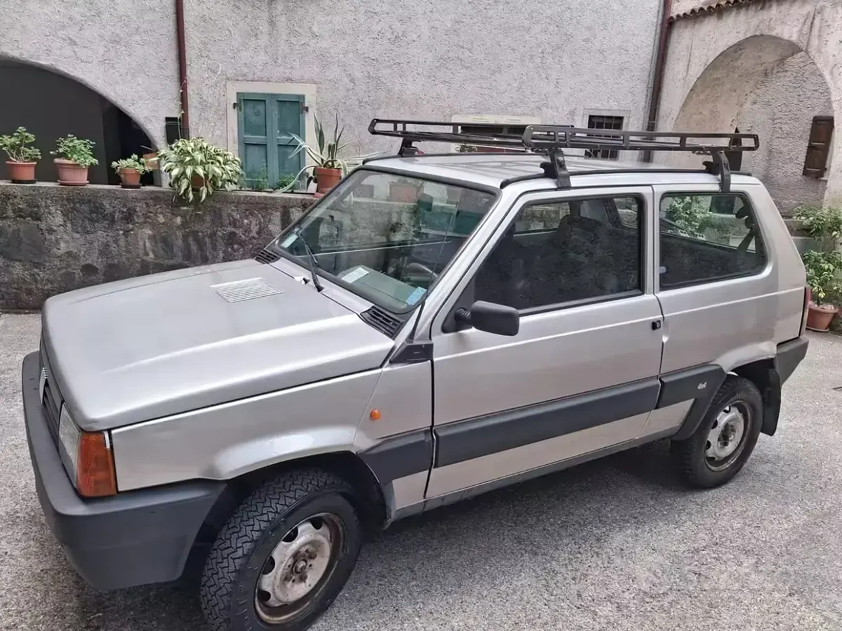 Usata Fiat Panda 4x4 54 CV (39 kW) 2002 Bluazzurro Utilitaria