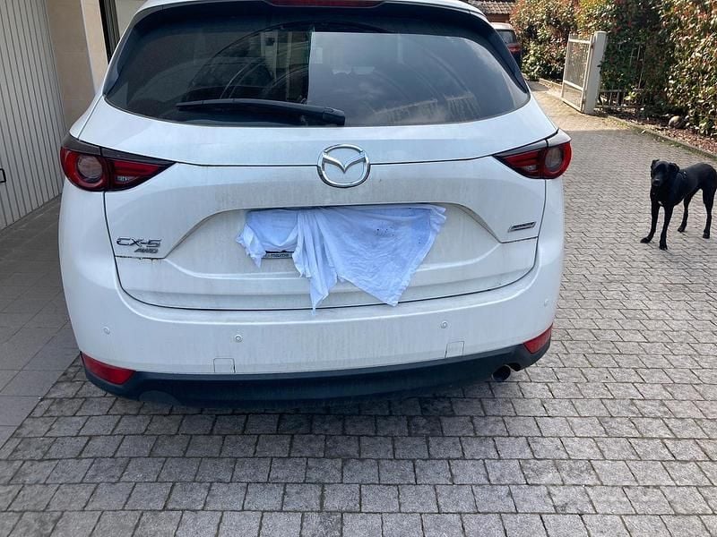 Usata Mazda CX-5 2019 Bianco SUV