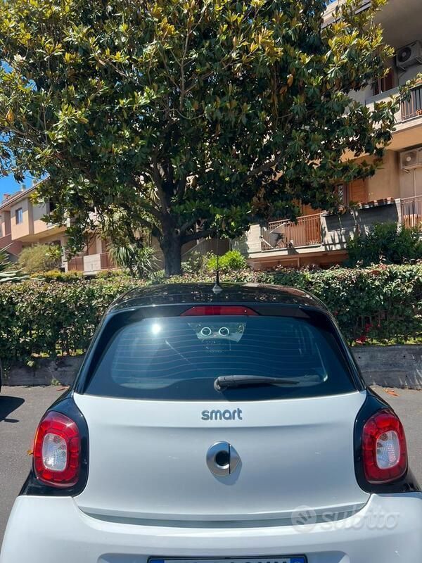 Usata Smart ForFour Prime 71 CV (52 kW) 2017 Bianco Utilitaria