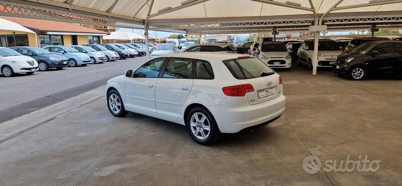 Usata Audi A3 Ambition 90 CV (66 kW) 2010 Bianco Utilitaria