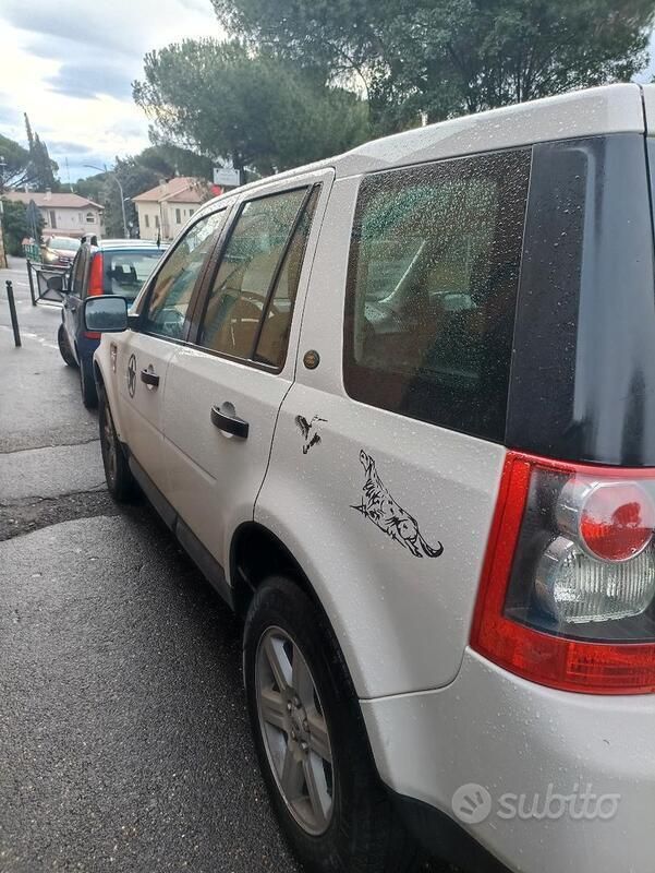 Bianco Usata 2010 Land Rover Freelander 2 SUV | 5000 € (Ottimo prezzo) - Immagine 1/4
