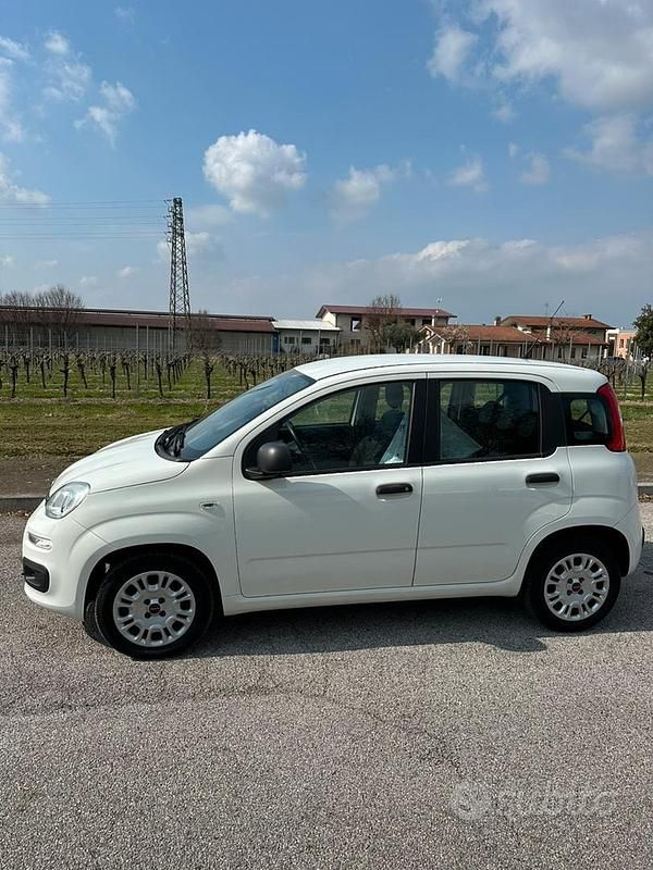 Usata Fiat Panda Easy 69 CV (50 kW) 2019 Bianco Utilitaria