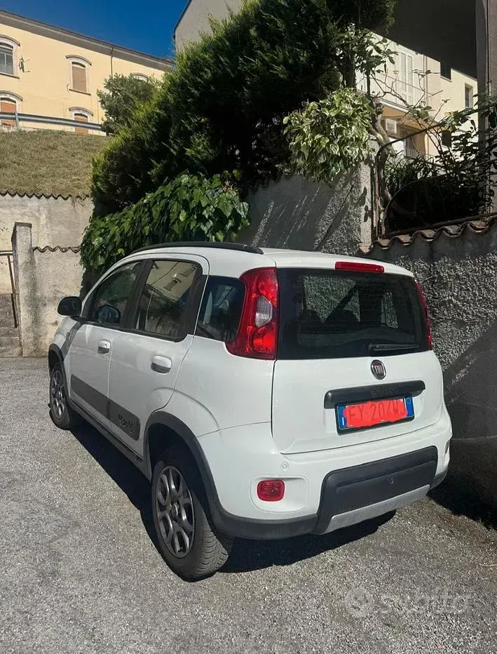 Usata Fiat Panda 4x4 80 CV (58 kW) 2014 Bianco Utilitaria