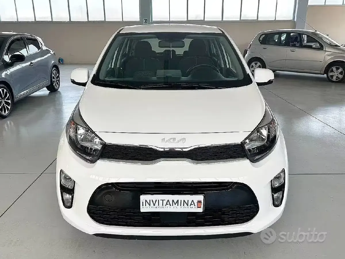 Usata Kia Picanto X-Line 65 CV (47 kW) 2024 Bianco Utilitaria