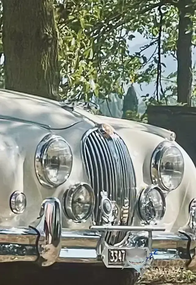 Usata Jaguar MK II 1960 Bianco Berlina
