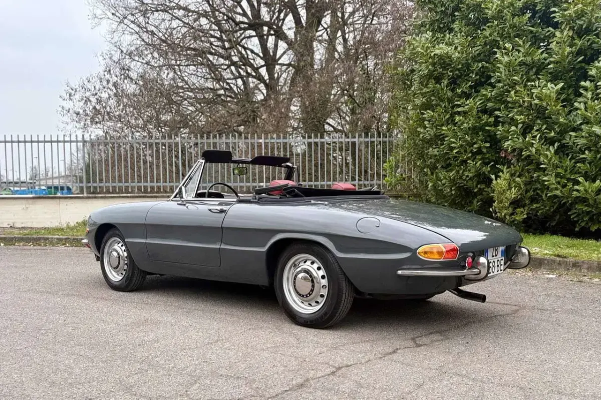 Usata Alfa Romeo Spider Veloce 113 CV (83 kW) 1969 Grigio Cabrio