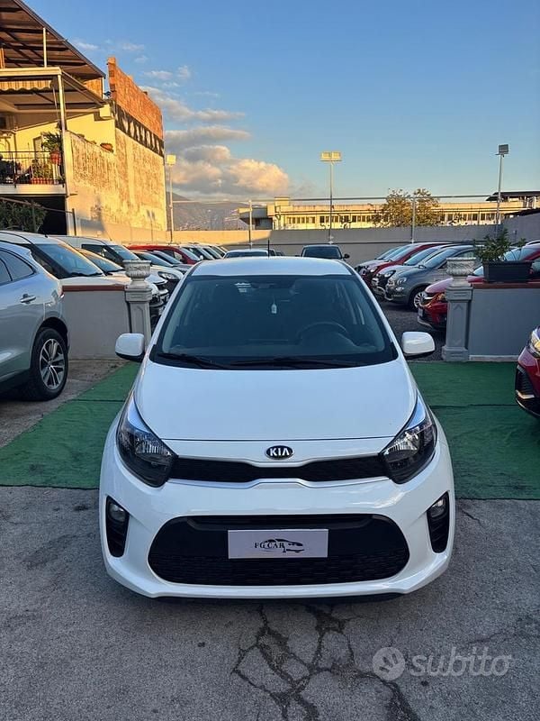 Usata Kia Picanto X-Line 66 CV (48 kW) 2019 Bianco Utilitaria