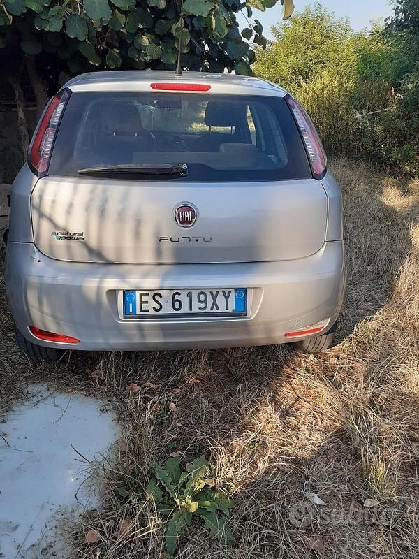Usata Fiat Punto 77 CV (56 kW) 2013 Utilitaria