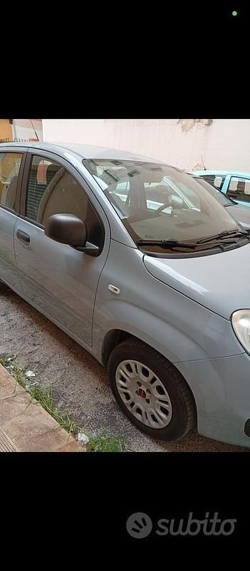 Usata Fiat Panda 69 CV (50 kW) 2019 Grigio Utilitaria
