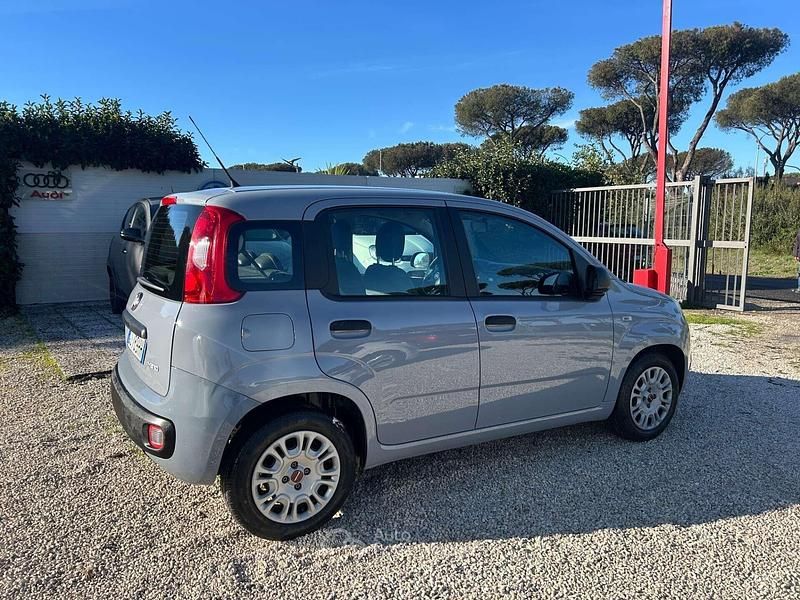 Usata Fiat Panda S 71 CV (52 kW) 2022 Grigio Utilitaria