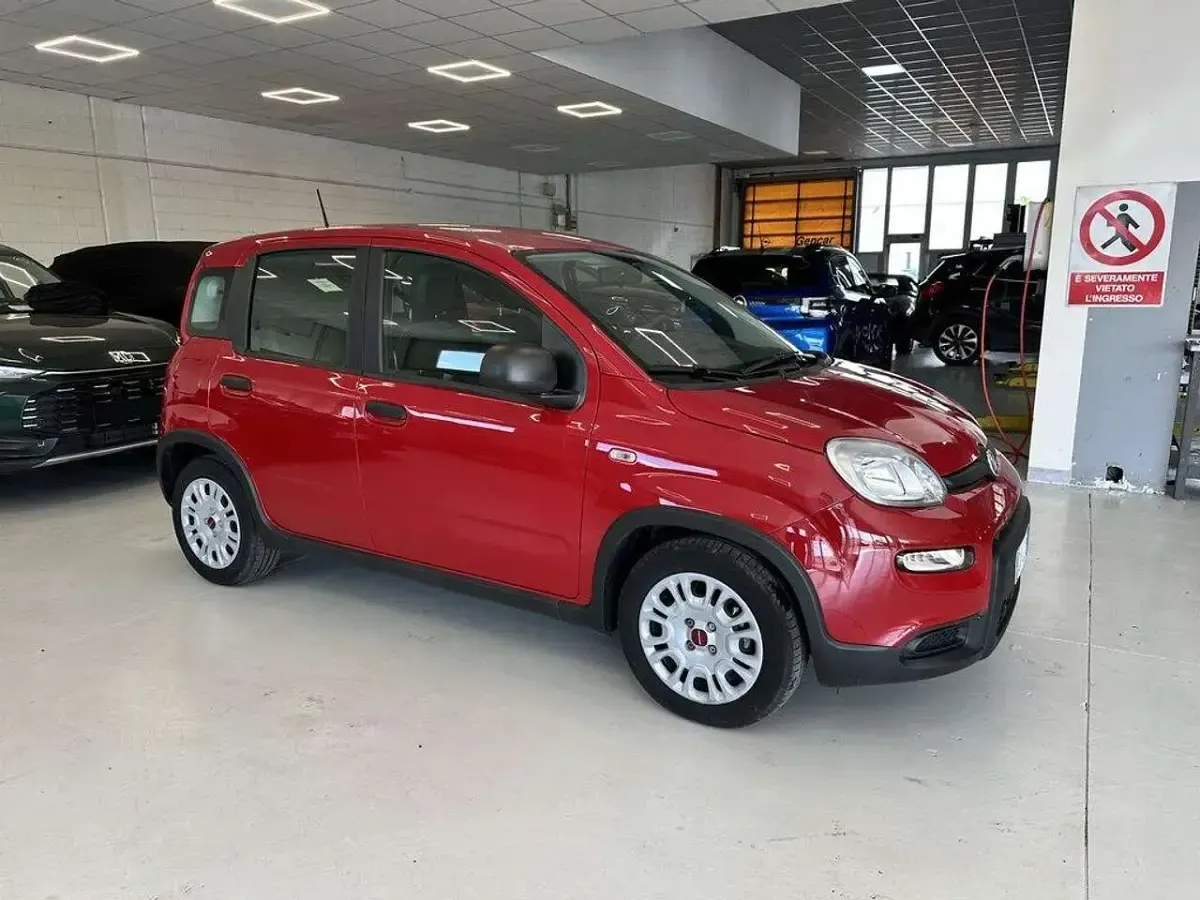 Usata Fiat Panda S 69 CV (50 kW) 2024 Rosso Utilitaria
