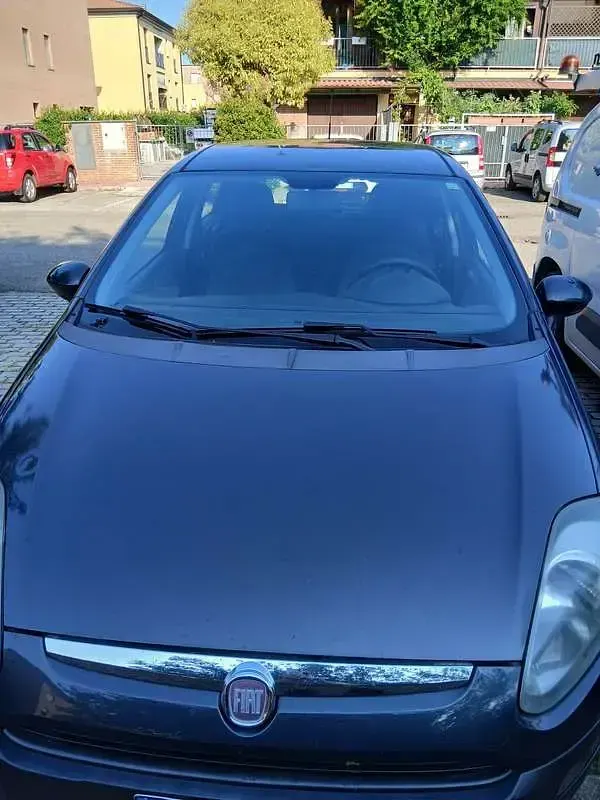 Usata Fiat Punto Evo Emotion 69 CV (50 kW) 2010 Utilitaria