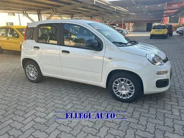 Nuova Fiat Panda Icon 69 CV (50 kW) 2026 Bianco Utilitaria