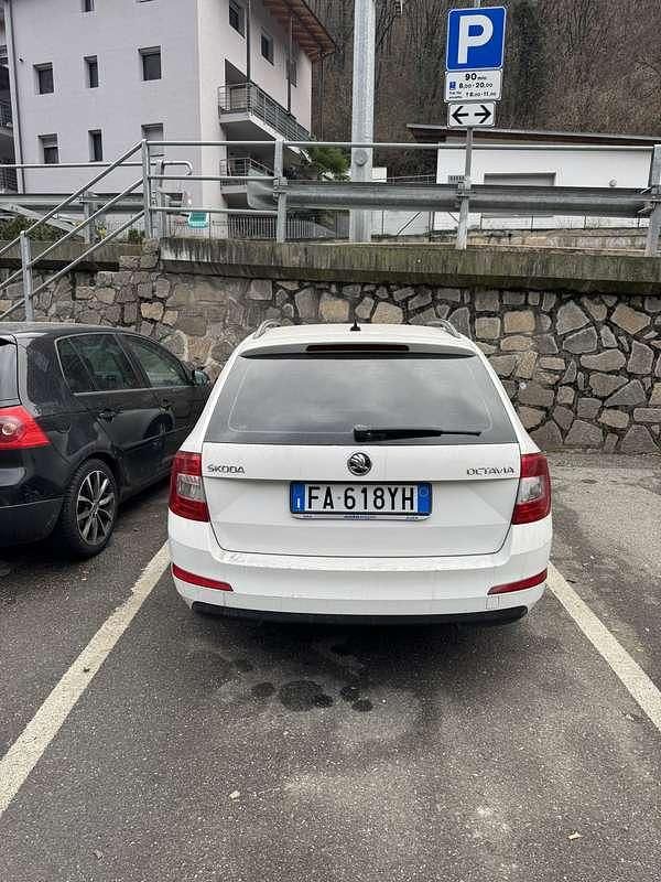 Usata Skoda Octavia GreenLine 115 CV (84 kW) 2015 Bianco Station wagon