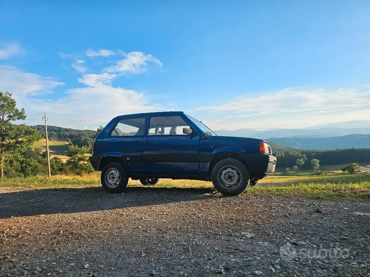 Usata Fiat Panda 4x4 Trekking 50 CV (36 kW) 1994 Blu Utilitaria