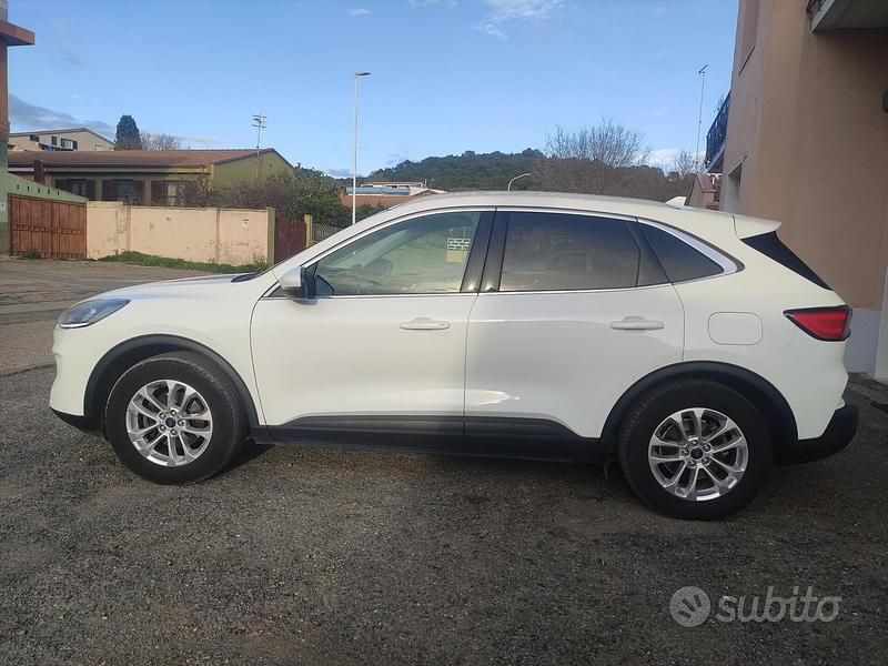 Usata Ford Kuga Titanium 120 CV (88 kW) 2020 Bianco SUV