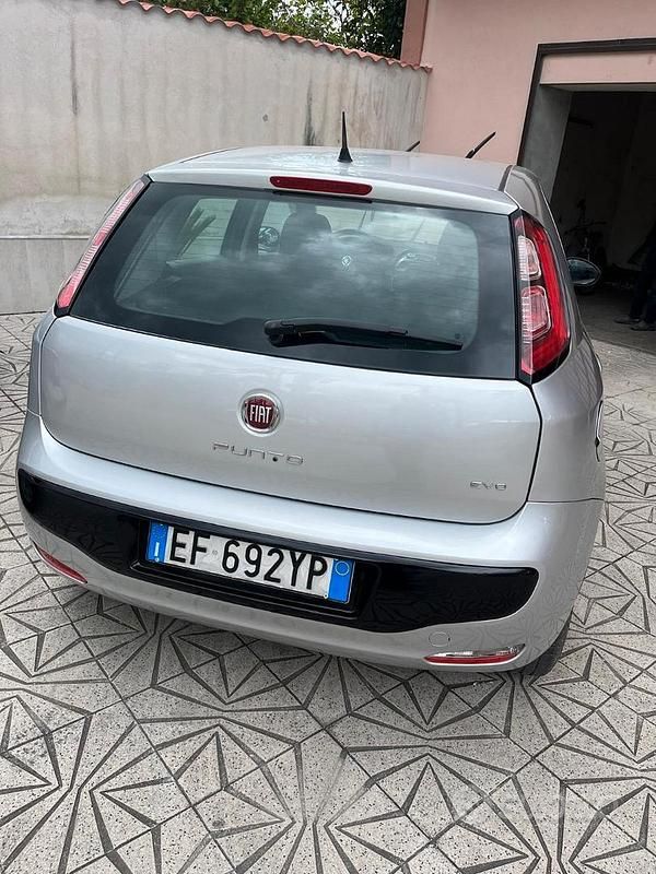 Usata Fiat Punto Evo 77 CV (56 kW) 2011 Grigio Utilitaria