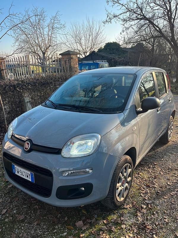 Usata Fiat Panda Classica 77 CV (56 kW) 2019 Grigio Utilitaria