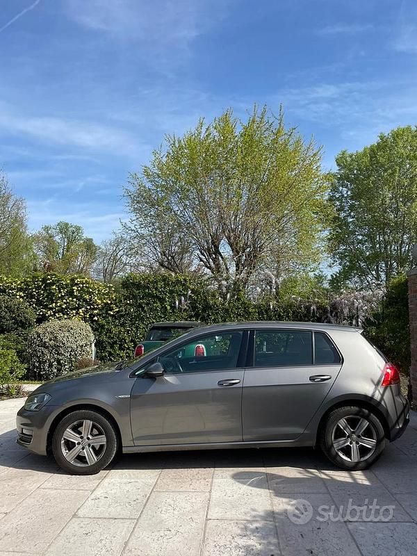 Usata VW Golf VII 110 CV (80 kW) 2016 Grigio Utilitaria