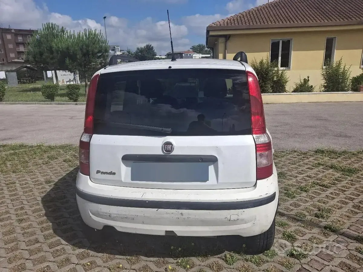 Usata Fiat Panda 60 CV (44 kW) 2009 Bianco Utilitaria