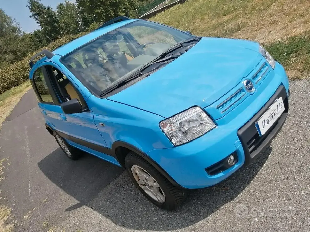 Usata Fiat Panda 4x4 Climbing 60 CV (44 kW) 2005 Bluazzurro Utilitaria