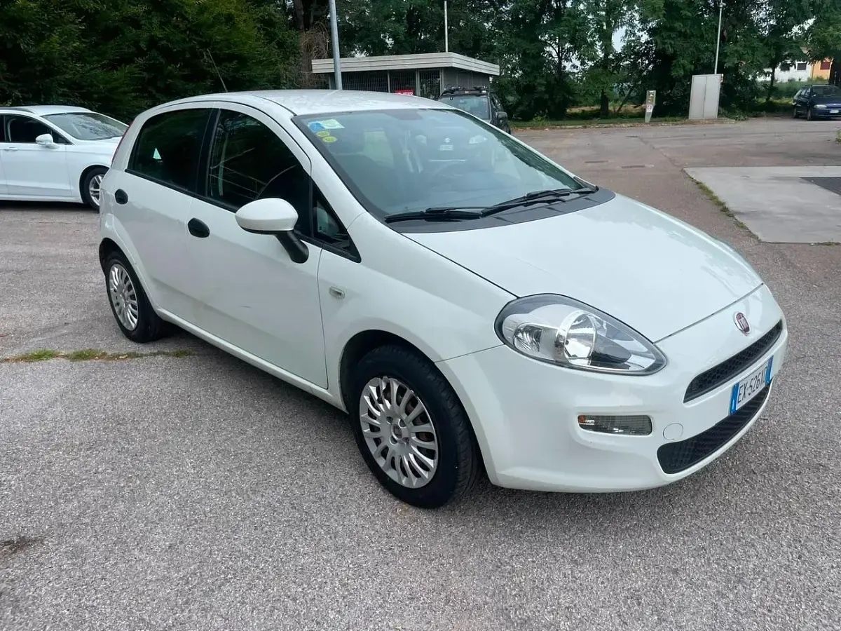 Usata Fiat Punto Lounge 75 CV (55 kW) 2014 Utilitaria