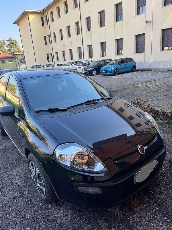 Usata Fiat Punto Easy 77 CV (56 kW) 2015 Utilitaria