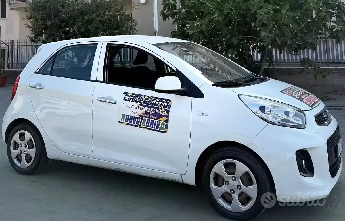 Usata Kia Picanto 67 CV (49 kW) 2016 Bianco Utilitaria