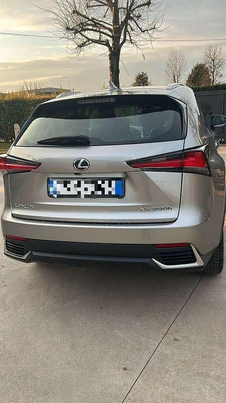 Usata Lexus NX300h Executive Line 155 CV (114 kW) 2018 Grigio SUV