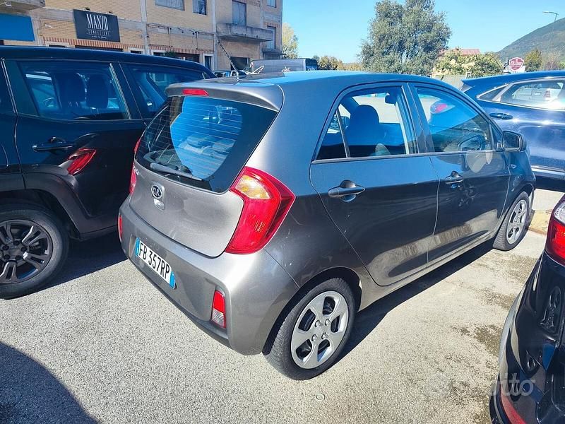 Usata Kia Picanto City 66 CV (48 kW) 2016 Marrone Utilitaria
