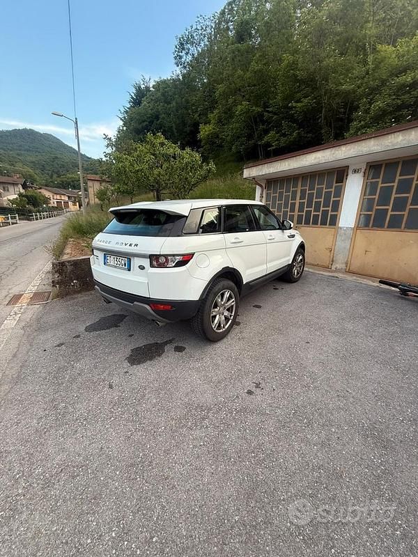 Usata Land Rover Range Rover evoque 190 CV (139 kW) 2014 Bianco SUV