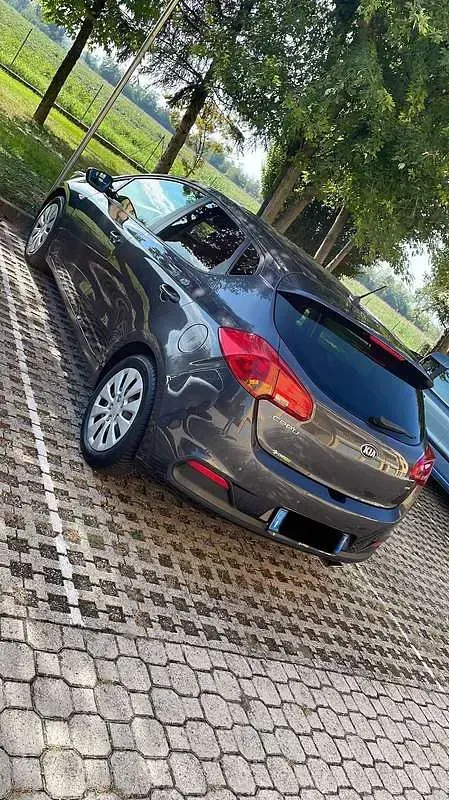 Usata Kia Ceed Active 110 CV (80 kW) 2015 Grigio Utilitaria