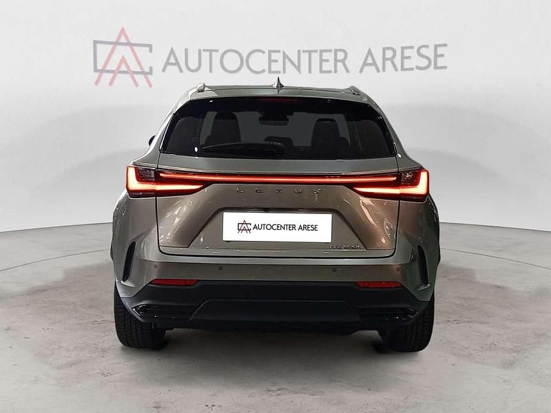 Usata Lexus NX300 190 CV (139 kW) 2023 Golden sand SUV