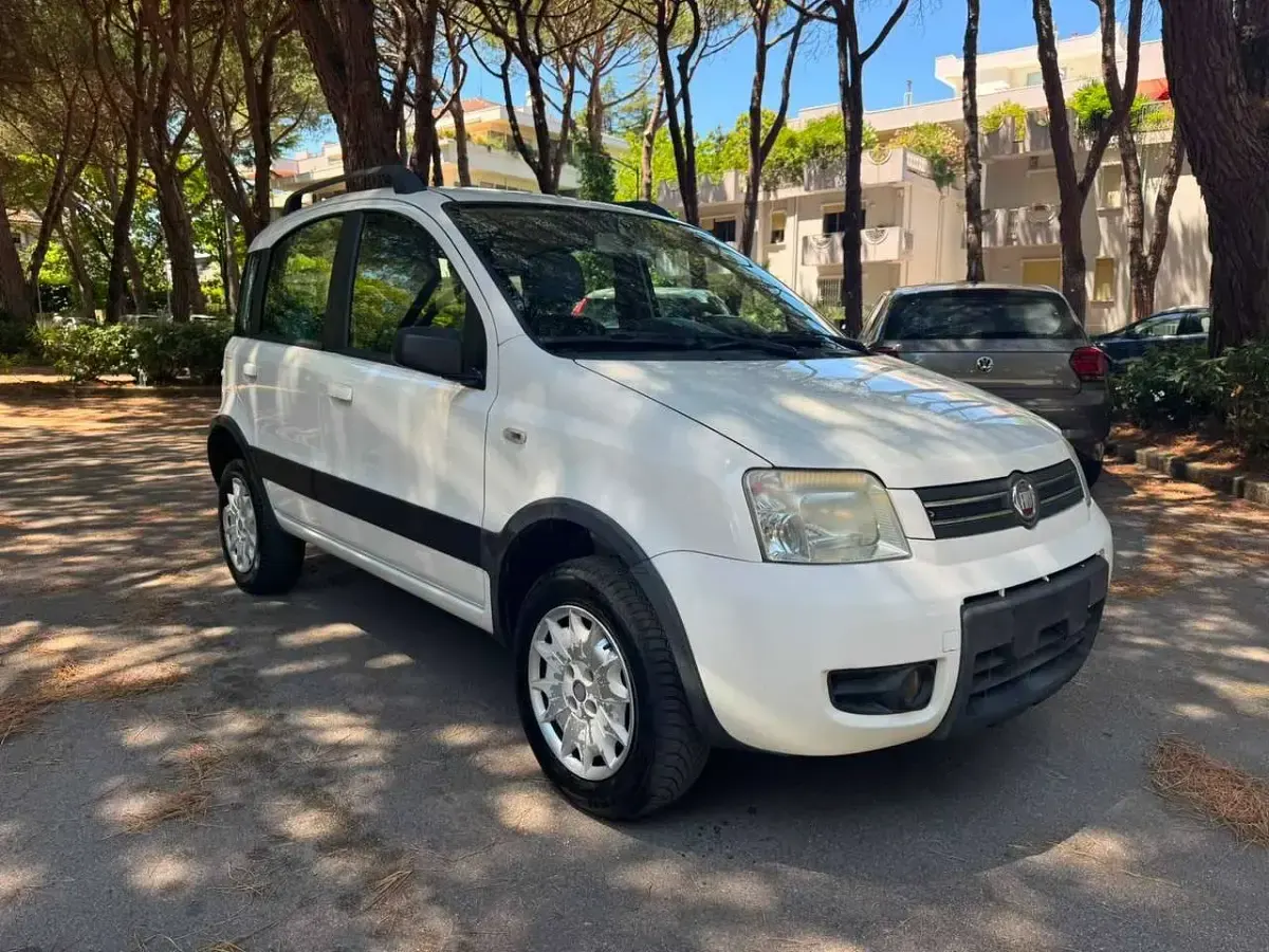 Usata Fiat Panda 4x4 60 CV (44 kW) 2009 Bianco Utilitaria