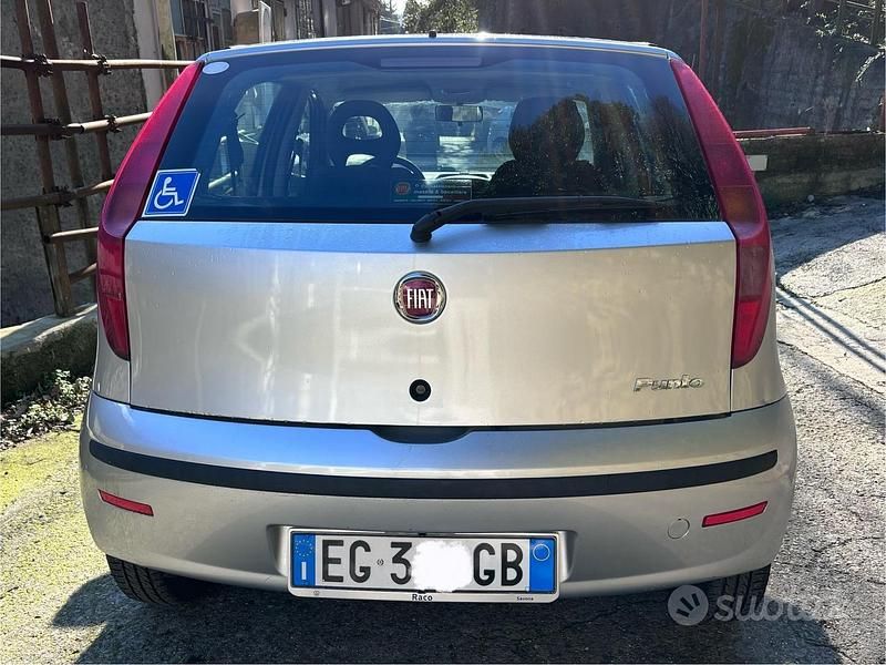 Usata Fiat Punto Active 59 CV (43 kW) 2010 Grigio Berlina