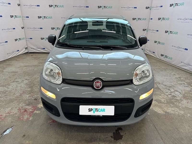 Usata Fiat Panda S 70 CV (51 kW) 2021 Grigio Utilitaria