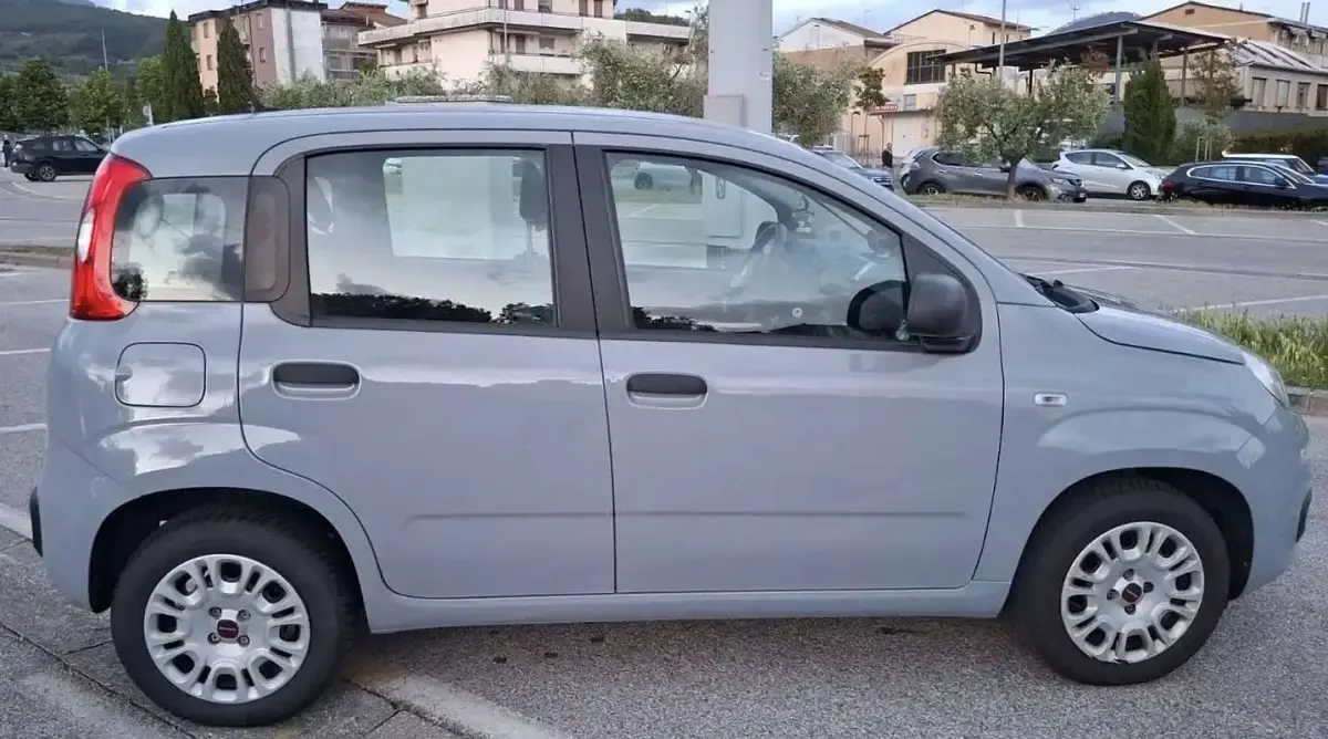 Usata Fiat Panda Easy 69 CV (50 kW) 2020 Grigio Utilitaria